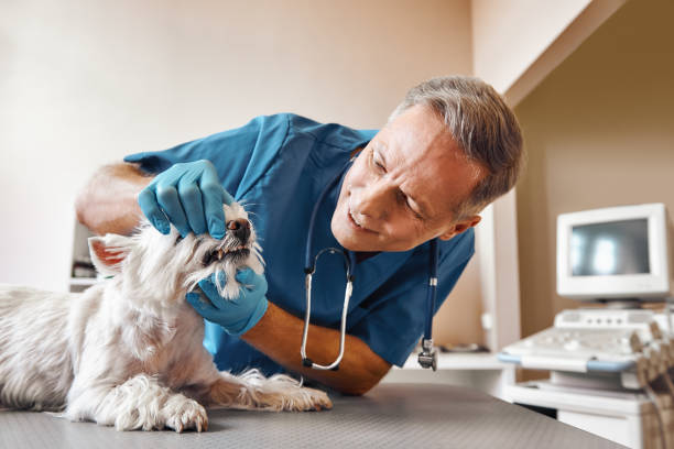 Best Emergency Broken Tooth Repair in Fincastle, TN